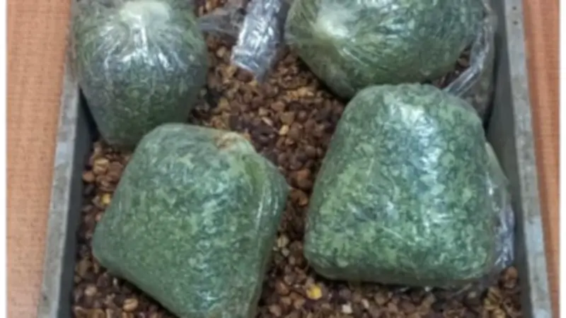 جمارك مطار القاهرة تضبط راكباً عربياً بحوزته 3 كيلو من مخدر القات