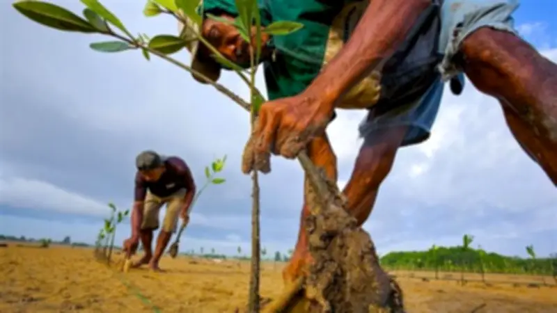 تحذير عاجل من تقلبات جوية حادة لمدة 3 أيام تبدأ الخميس