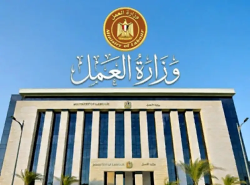 حصاد 3 أشهر من العمل: تحرير 8500 محضر وفحص 1700 شكوى عمالية