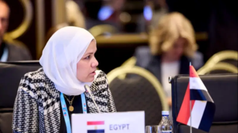 الضرائب تمد مهلة شهادات القيمة المضافة حتى 30 يونيو 2026