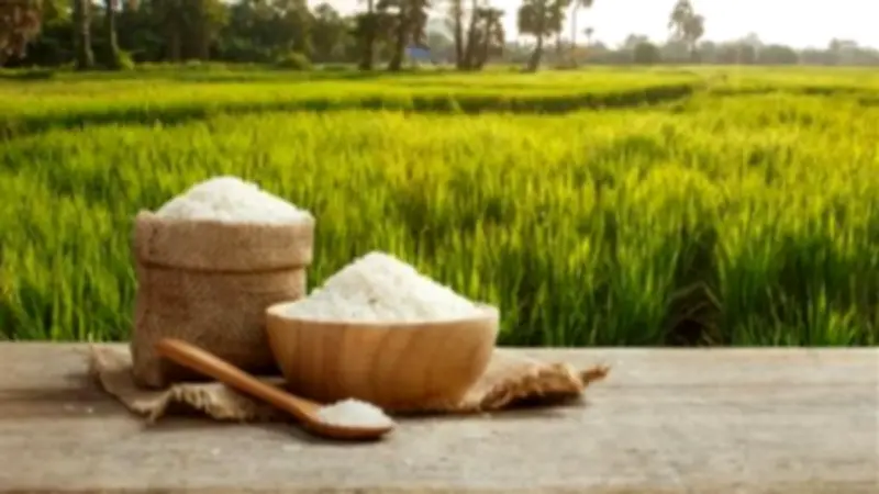 استقرار أسعار الأرز بالسوق المحلية اليوم الخميس 30 أبريل 2026