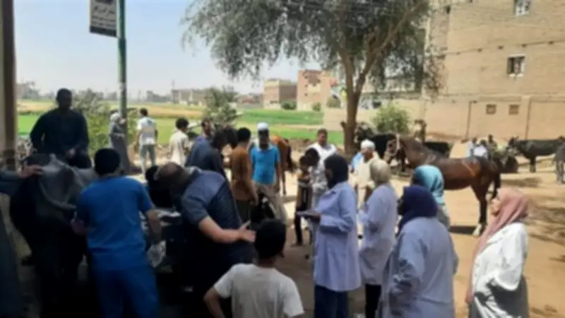 قوافل بيطرية مجانية تفحص وتعالج 3150 رأس ماشية في 3 مراكز بسوهاج