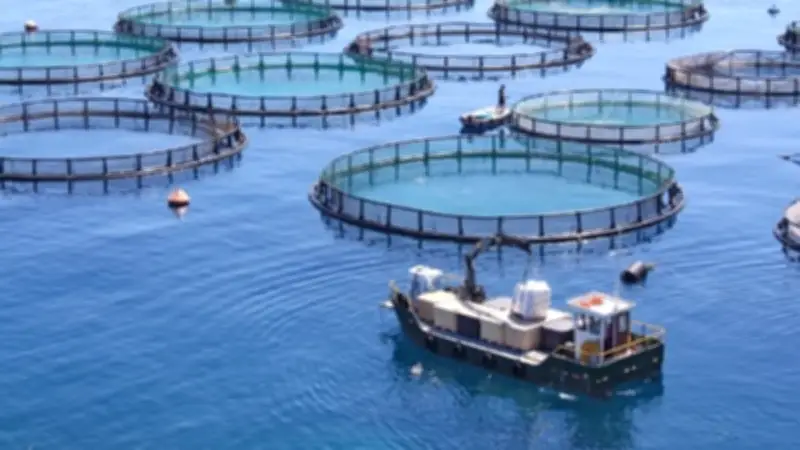 عُمان تطرح حزمة استثمارية في الأمن الغذائي بقيمة تصل إلى 32 مليون ريال