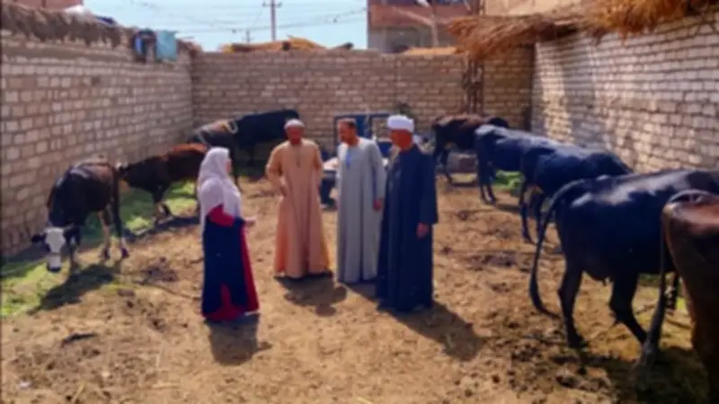 أسيوط تحقق إنجازًا في تحصين 32 ألف رأس ماشية ضد الأمراض الوبائية خلال أسبوع