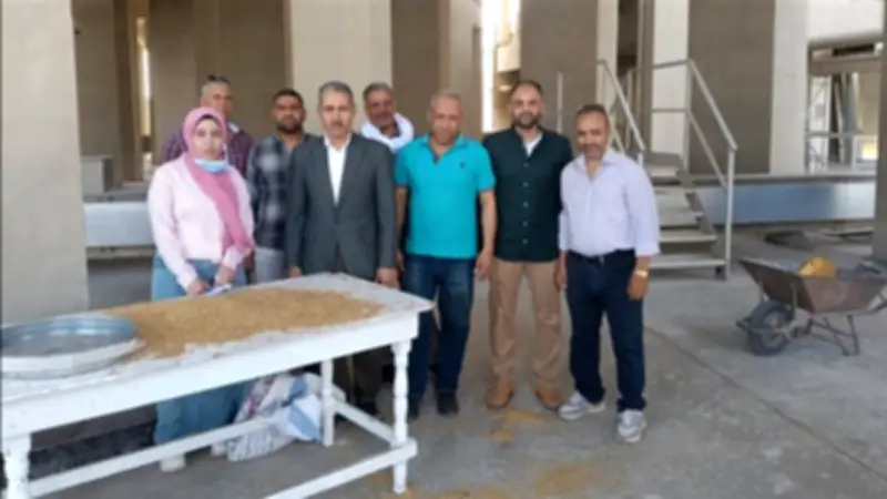 توريد 33 ألف طن قمح للصوامع والشون بأسيوط منذ بدء الموسم