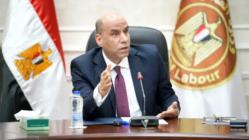 في ذكرى تحرير سيناء.. رداد: دعم العمالة غير المنتظمة بـ33.4 مليون جنيه