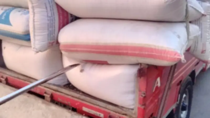 الدقهلية: توريد 3353 طن قمح محلي خلال الموسم الحالي