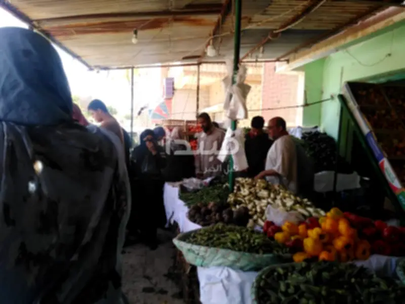 الداخلية تضبط 34 طن دقيق في حملات تموينية مكثفة