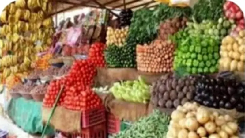 الطماطم بـ 35 جنيها.. استقرار أسعار الخضراوات بالوادي الجديد اليوم