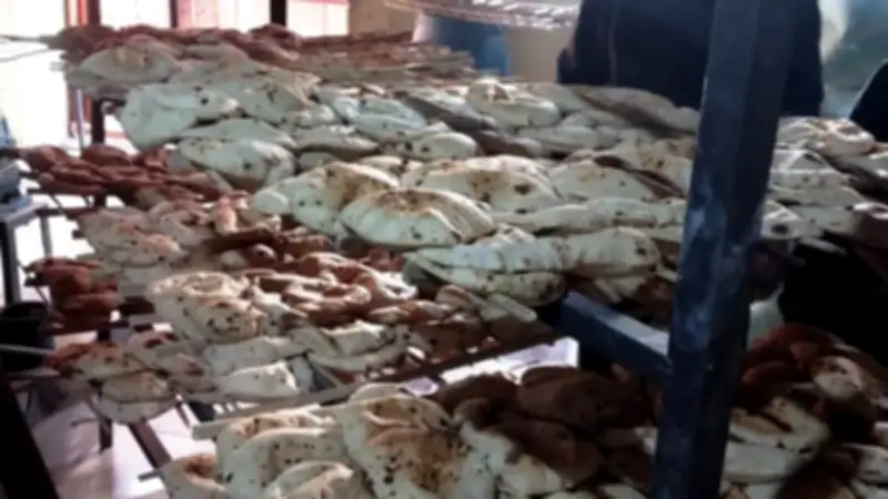 تحرير 35 محضر مخالفة للمخابز البلدية في أسوان خلال حملة تموينية