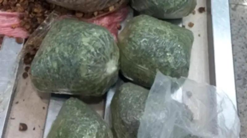 جمارك مطار القاهرة تحبط تهريب 3.6 كجم من نبات القات المخدر
