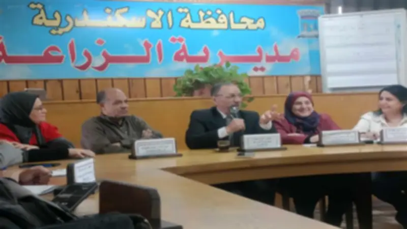 انطلاق موسم حصاد القمح في الإسكندرية الأسبوع المقبل على مساحة 36.5 ألف فدان