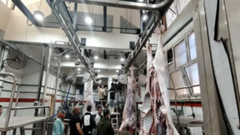 بدء التشغيل التجريبي لمجزر الزقازيق العام بالشرقية بتكلفة 38 مليون جنيه