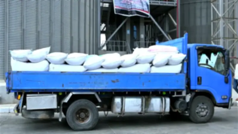 صوامع البحيرة تستقبل 3884 طن قمح حتى اليوم الجمعة