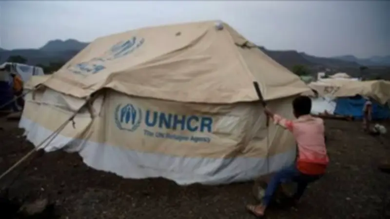 تراجع أعداد اللاجئين في الأردن إلى 419 ألفًا بانخفاض 1.6%