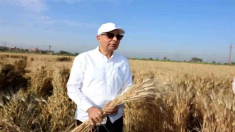محافظ المنيا يعلن تجهيز 42 موقعًا لاستقبال القمح بسعة 465 ألف طن لضمان الأمن الغذائي