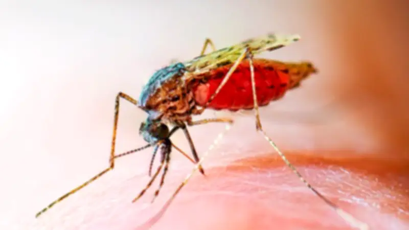 الصحة العالمية: 47 دولة تحصل على شهادة خلوها من الملاريا
