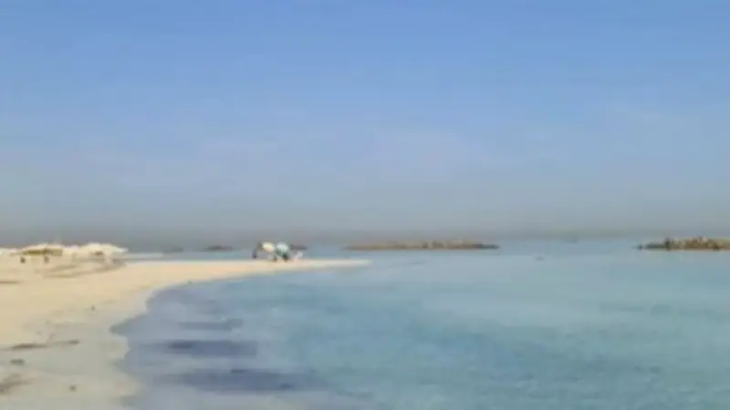 الإسكان تطرح 5 شواطئ في الساحل الشمالي بنظام حق الانتفاع لمدة 3 سنوات