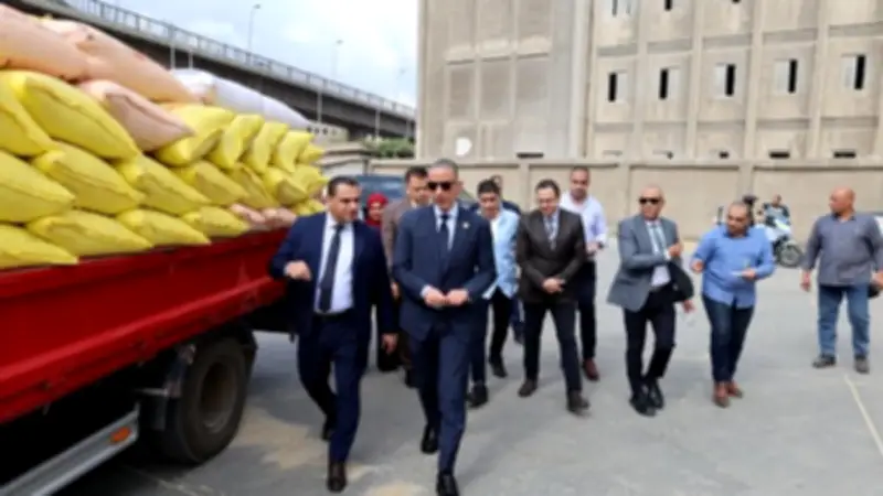 محافظ الجيزة يتفقد صومعة إمبابة لمتابعة تخزين 50 ألف طن قمح