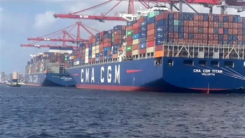 نشاط مكثف في ميناء الإسكندرية: 50 سفينة و238 ألف طن بضائع خلال 24 ساعة