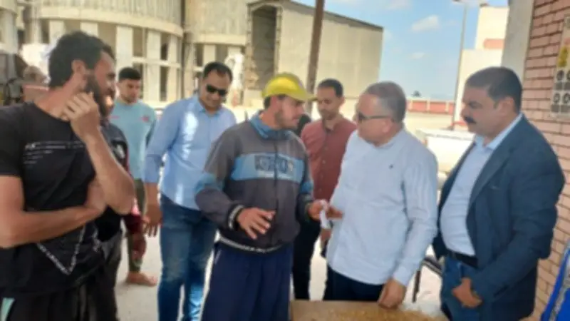 توريد 5120 طن قمح للصوامع بالدقهلية خلال موسم 2026