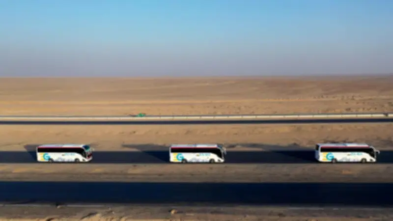 وزارة النقل تورّد 529 أتوبيساً وميني باص جديداً لشركات القابضة للنقل البحري والبرّي