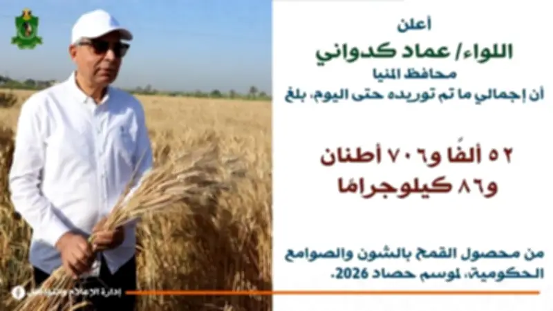 المنيا: توريد 53 ألف طن قمح للشون والصوامع منذ بدء الموسم
