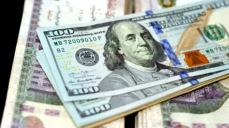 استقرار سعر الدولار عند 53.67 جنيه للشراء في البنوك اليوم الجمعة
