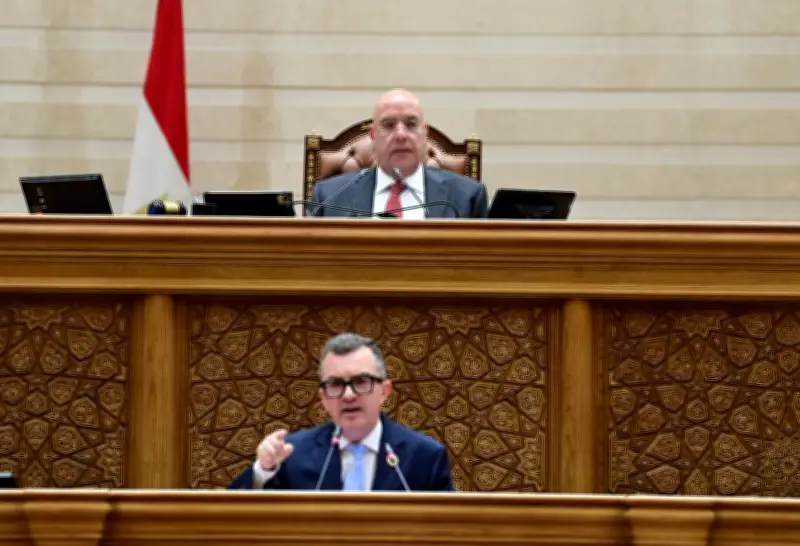 وزير التخطيط: توقعات بنمو اقتصادي 5.4% بنهاية العام المالي المقبل