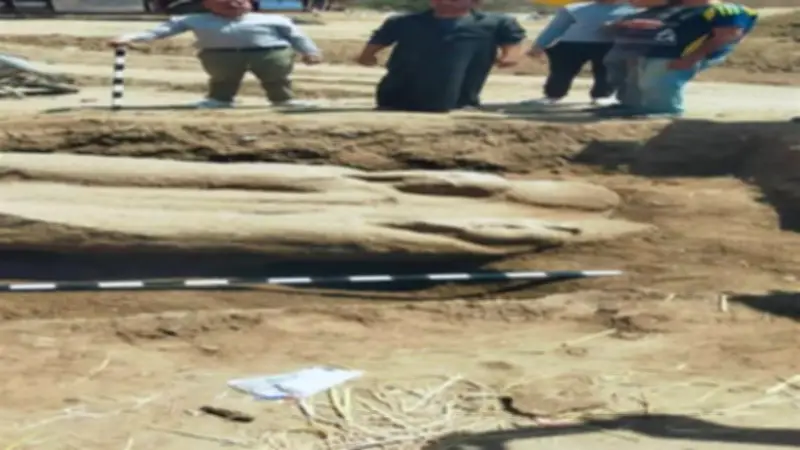 كشف أثري ضخم في الشرقية.. تمثال جرانيت يزن 5.5 طن