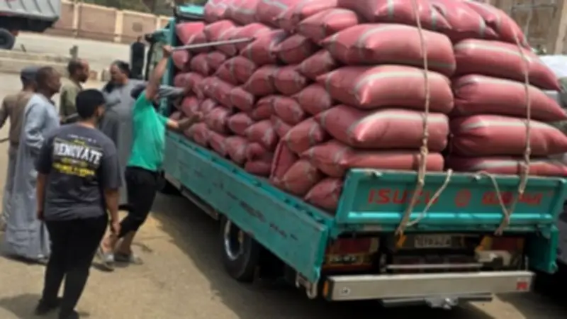 محافظ سوهاج: توريد 5801 طن قمح وتجهيز 15 موقعًا تخزينيًا لاستقبال المحصول