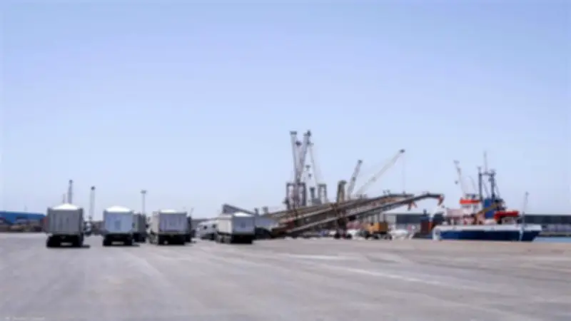 ميناء دمياط يسجل حركة تجارية نشطة: 62 ألف طن بضائع متنوعة خلال يوم واحد
