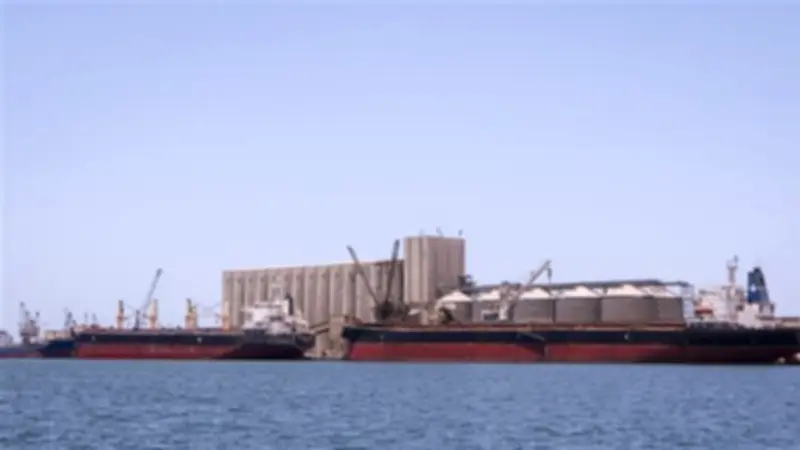 وصول 65 ألف طن قمح أوكراني إلى ميناء دمياط لتعزيز المخزون الاستراتيجي