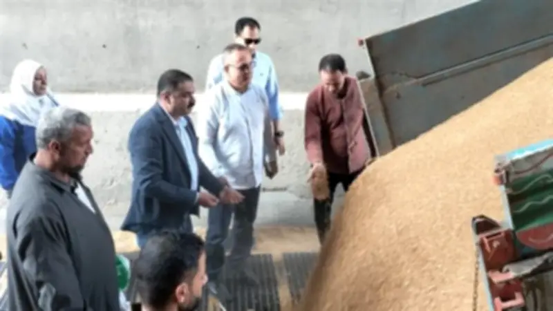 الدقهلية تسجل 682 طن قمح في يوم واحد ضمن منظومة التوريد الناجحة