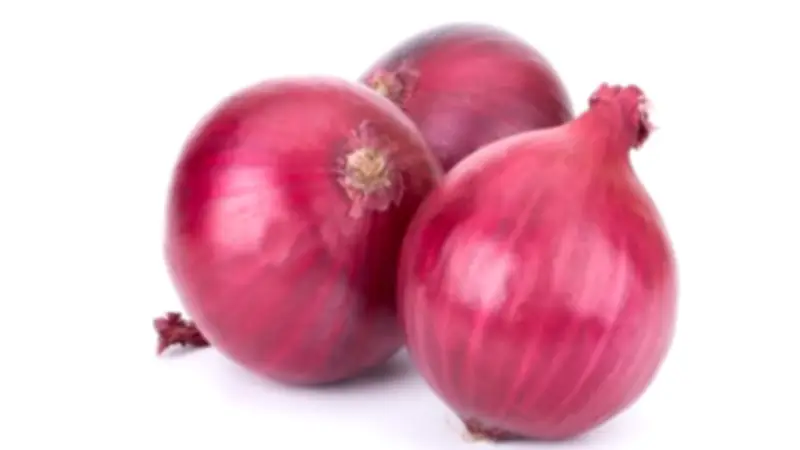 صادرات البصل المجفف المصري تسجل 69 مليون دولار في 2025 وفرص نمو تصل إلى 88 ألف طن