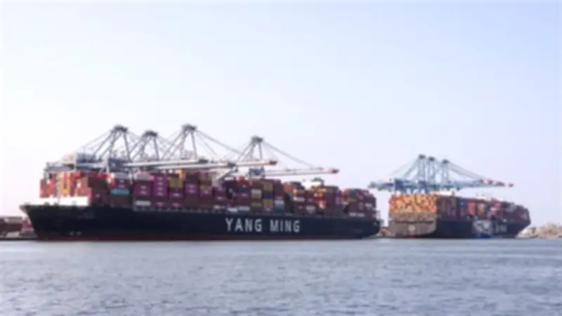 ميناء دمياط يستقبل 7 سفن وسفينة حاويات عملاقة خلال 24 ساعة