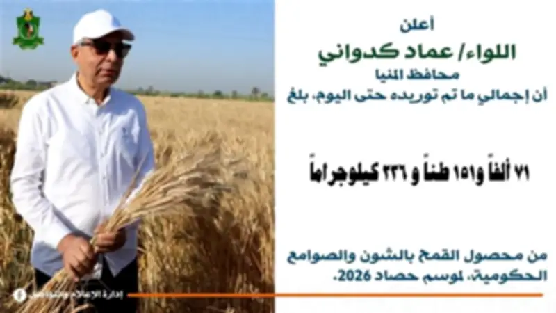 توريد 71 ألف طن قمح إلى صوامع المنيا منذ انطلاق موسم 2026