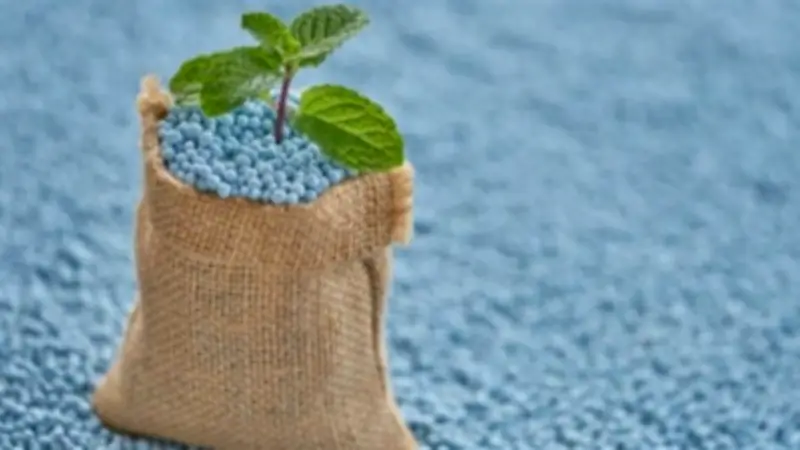 انخفاض أسعار الأسمدة في المنيا يصل إلى 784 جنيهًا للطن في تعاملات الجمعة