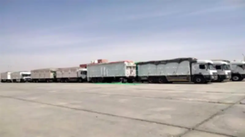 توريد 80 ألف طن قمح لصوامع المنيا منذ انطلاق موسم 2026