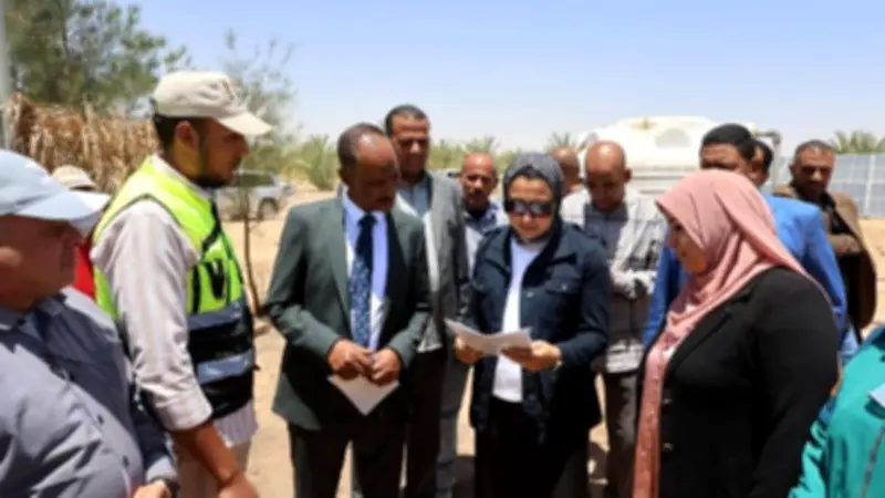 محافظ الوادي الجديد تتفقد مشروع نخيل بـ 800 فدان في جورمشين