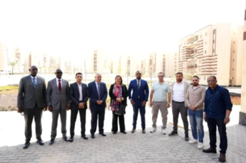 مى عبد الحميد: الانتهاء من تنفيذ 806 آلاف وحدة سكنية منها 637 ألفًا بالمدن الجديدة