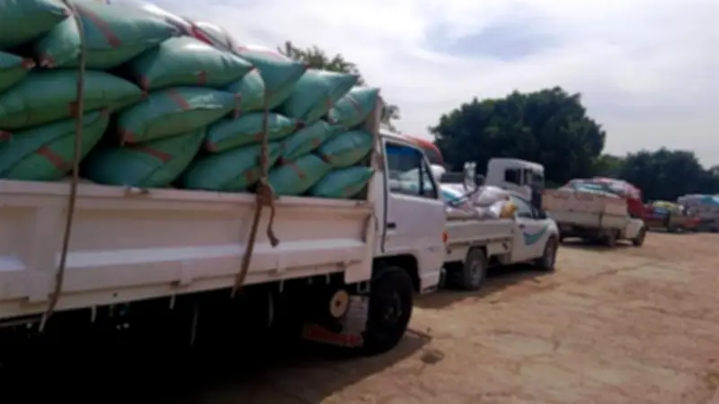 محافظ سوهاج: استلام 8431 طن قمح بالصوامع والشون حتى الآن وسط جهود دعم المزارعين