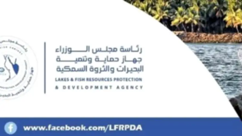 حماية البحيرات تحقق طفرة إنتاجية وتورد 85 طن أسماك للأسواق