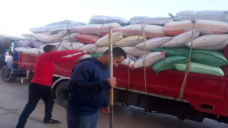 توريد 9 آلاف طن قمح بالمنوفية منذ بدء موسم الحصاد