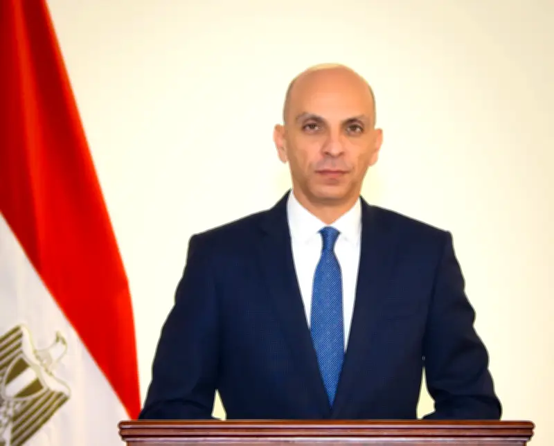 المتحدث باسم الخارجية لـ 9090: استعادة أرض سينا جسدت تلاقي الإرادة العسكرية مع الخبرة الدبلوماسية