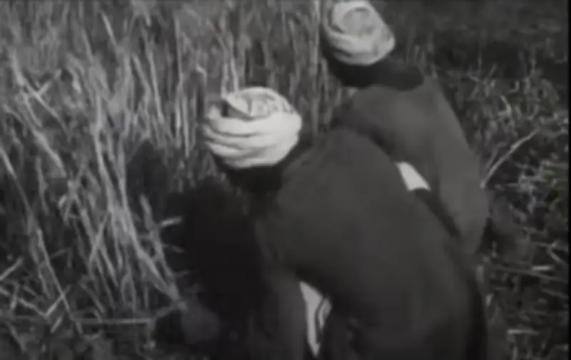 فيديو نادر يكشف كفاح ومعاناة حصاد القمح منذ 96 عاماً