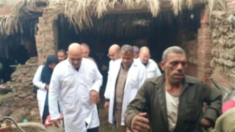 القليوبية تحقق 99% تغطية في تحصين 113 ألف رأس ماشية ضد الجلد العقدي