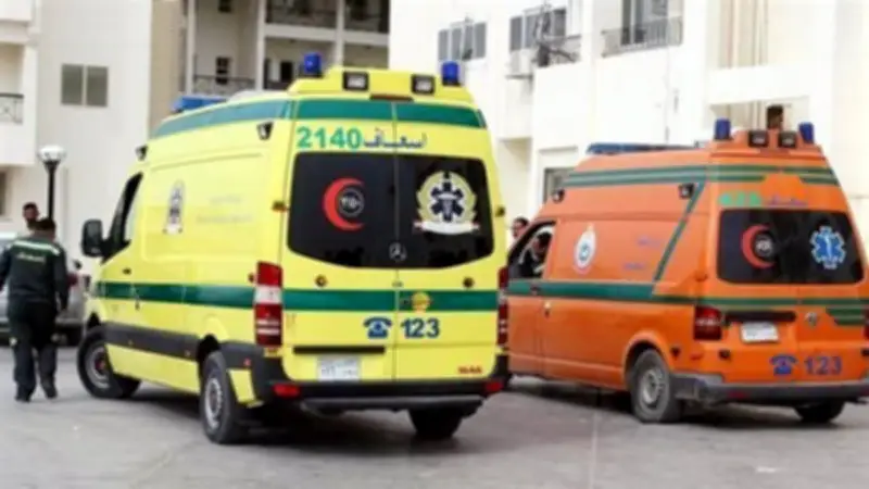 مأساة في الدقهلية: سقوط أطفال ومحاولة انتحار بحبة الغلة تهز المحافظة