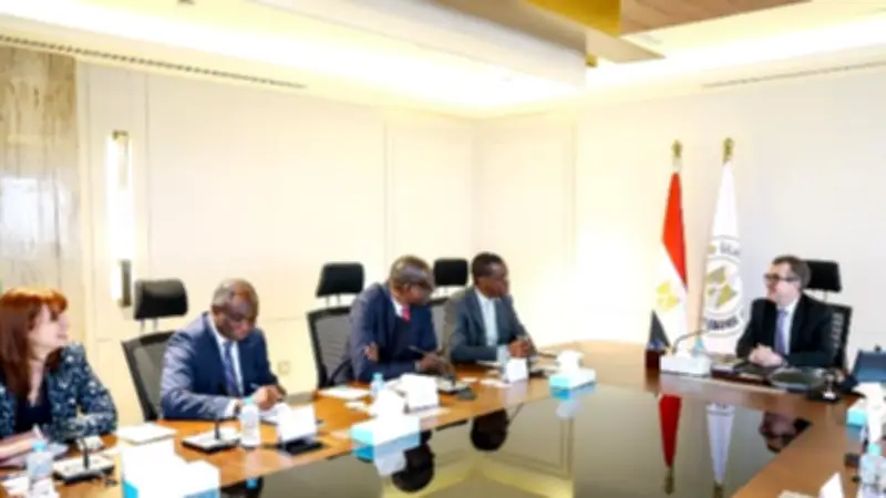 وزير التخطيط يبحث مع البنك الإفريقي للتنمية تعزيز الشراكات وتمويل مشروعات البنية التحتية