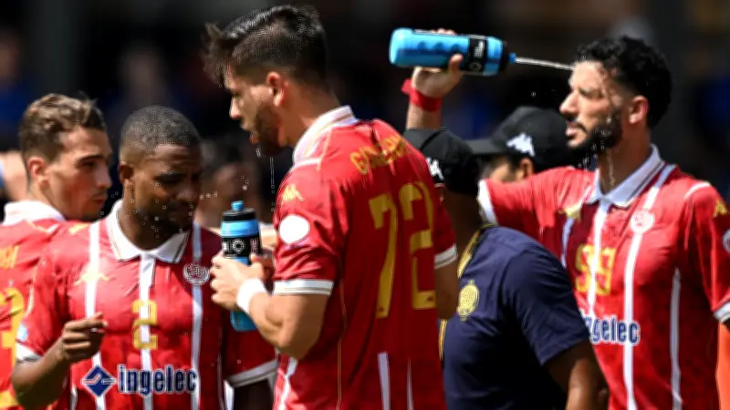 مدرب الوداد السابق محمد أمين بنهاشم يقترب من تدريب الكوكب المراكشي في الدوري المغربي